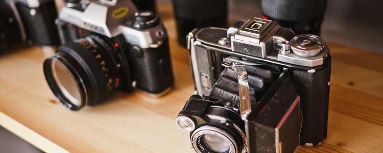 蘑菇视频官网 - 互动交流新体验